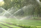 Calcalandscaping-water-management-and-drainage-17.jpg; ?>